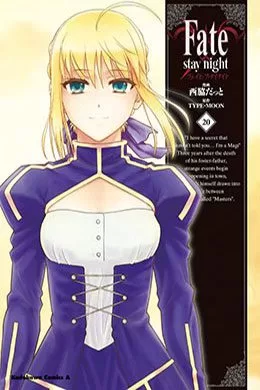 Fate stay night