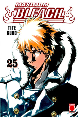 Bleach Maximun