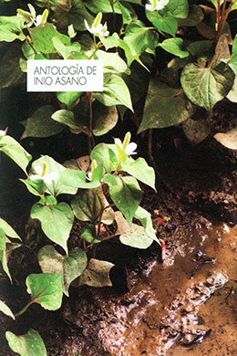 Antologia de Inio Asano